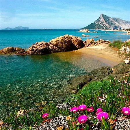 Stella Marina 호텔